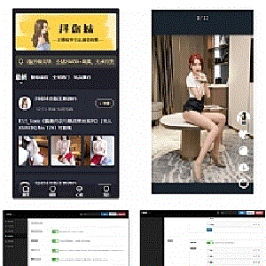 wordpress图片主题最新仿抖音模式套图SEO源码