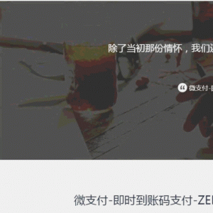 微支付即时到账源码