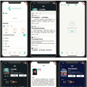 lutter豆瓣客户端源码AwesomeFlutterProject