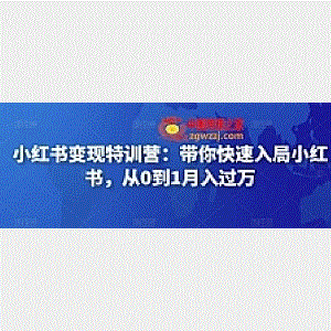 小红书变现特训营：带你快速入局小红书，从0到1月入过万