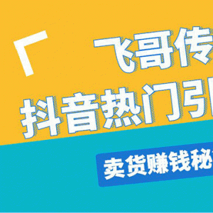 飞哥传书抖音热门引流变现直播上热门引流卖货秘籍，一天赚5224元