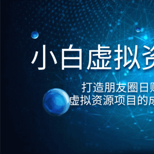 小白虚拟资源项目最新教程通过虚拟资源项目的成交与转化，打造朋友圈日赚1000+（完结）