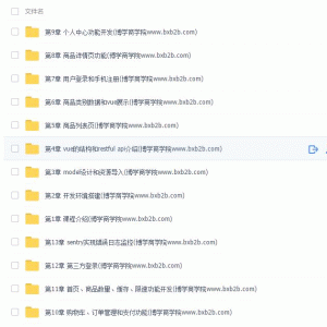 Python前后端分离开发Vue+DjangoRESTframework实战视频教程/大小：8G