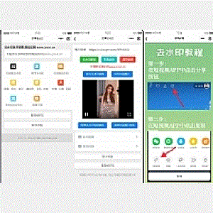 自带多平台解析接口短视频去水印图集水印小程序源码