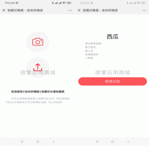果蔬识别V1.0.4原版微擎功能模块