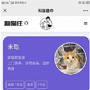 流浪猫流浪狗发布H5源码下载带演示