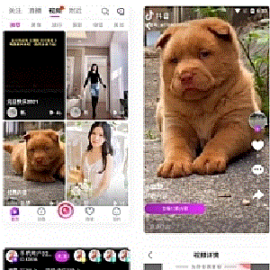 11月份短视频直播带货APP完美运营源码直播购物交友系统源码
