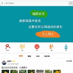 得推论坛系统v3.0