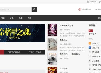 小说自动采集+【深度seo优化】+自适应=小说网站源码